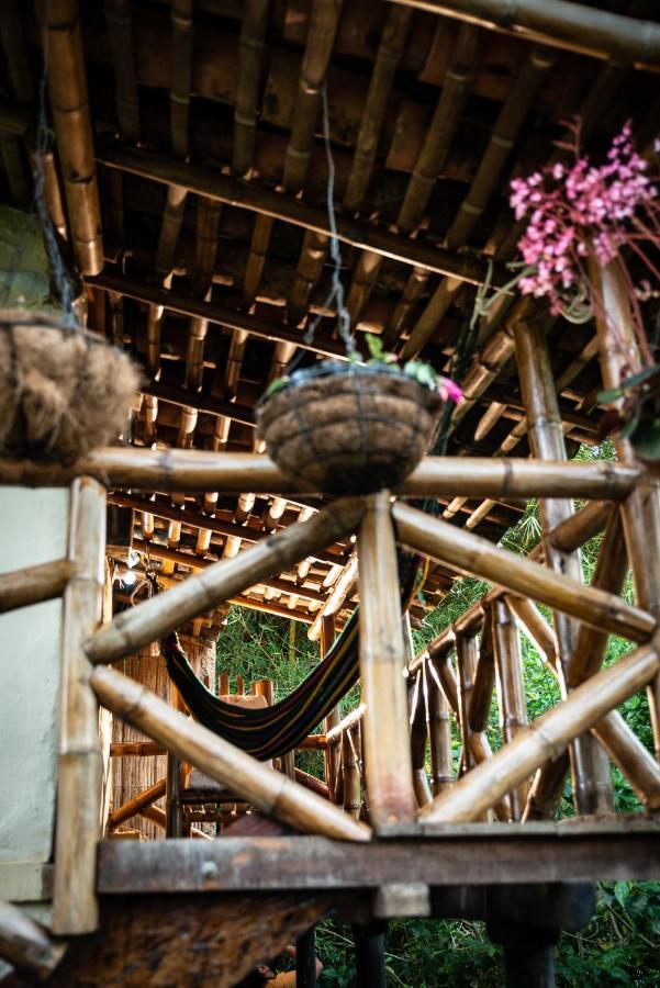 Finca Ecologica El Maco San Agustín Buitenkant foto