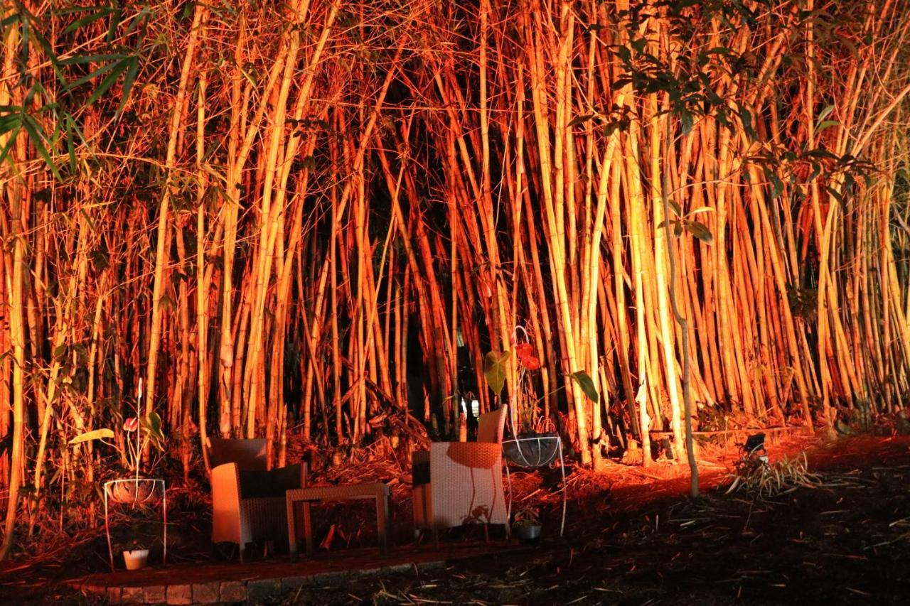Finca Ecologica El Maco San Agustín Buitenkant foto